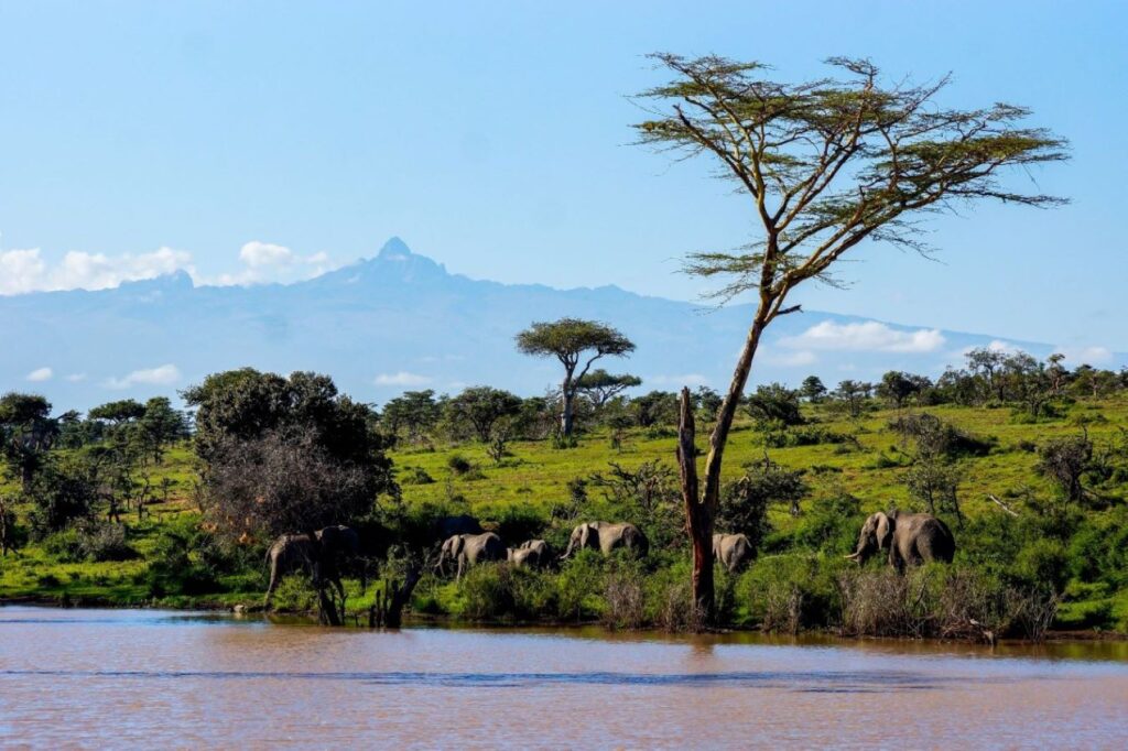 Mt Kenya1
